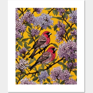 New Hampshire Purple Finches And Purple Lilac Blossom Posters and Art